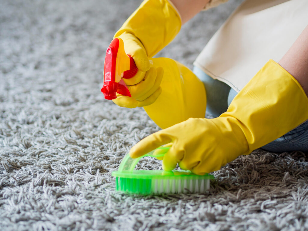 Carpet Shampooing & Maintenance Services