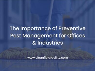 commercial-pest-management-solutions